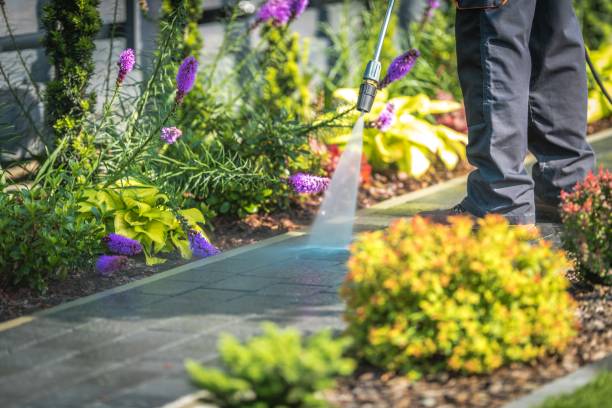 Trusted Mancelona, MI Pressure Washing Services Experts